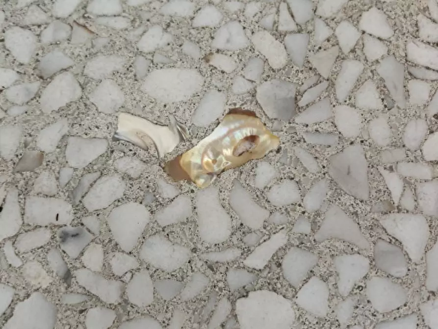 Immagine 64 di Appartamento in vendita  in VIA ARMANDO DIAZ 8 a Meolo