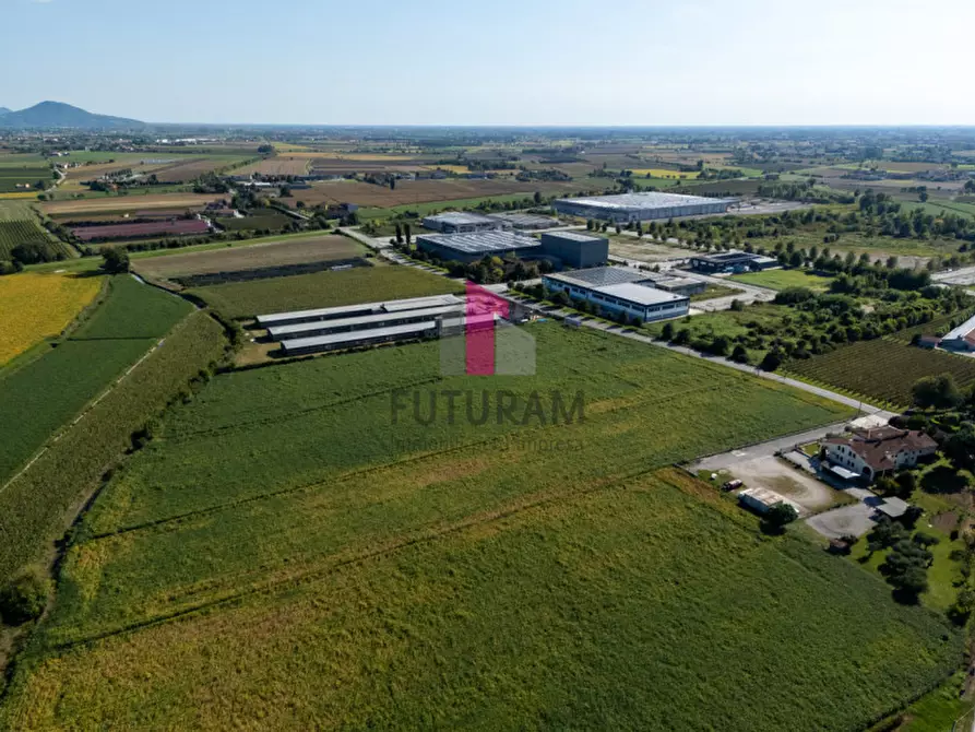 Immagine 3 di Terreno in vendita  a Villaga