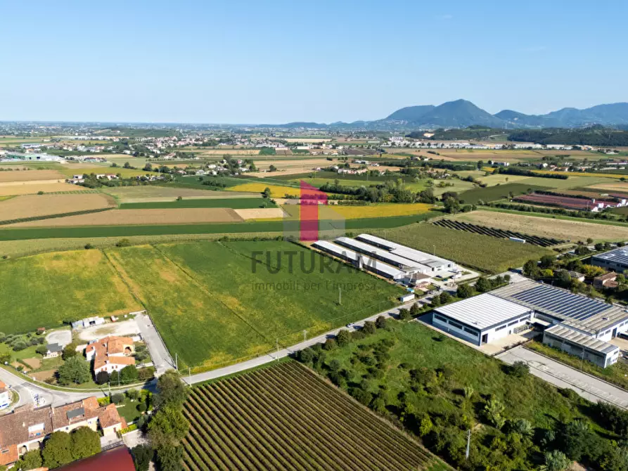 Immagine 5 di Terreno in vendita  a Villaga