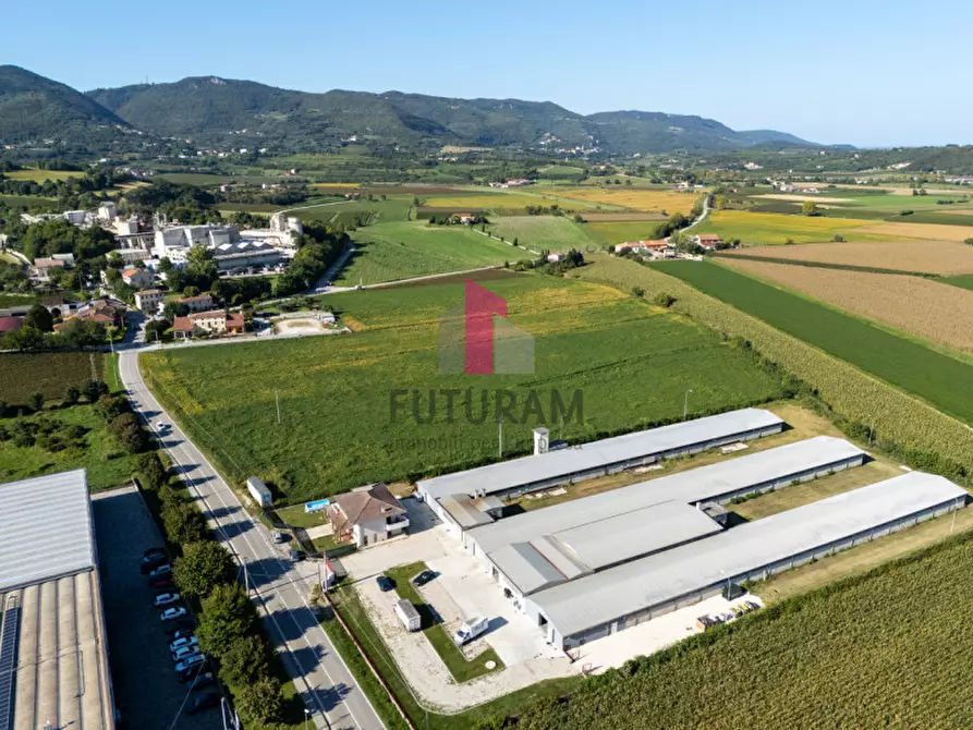 Immagine 6 di Terreno in vendita  a Villaga