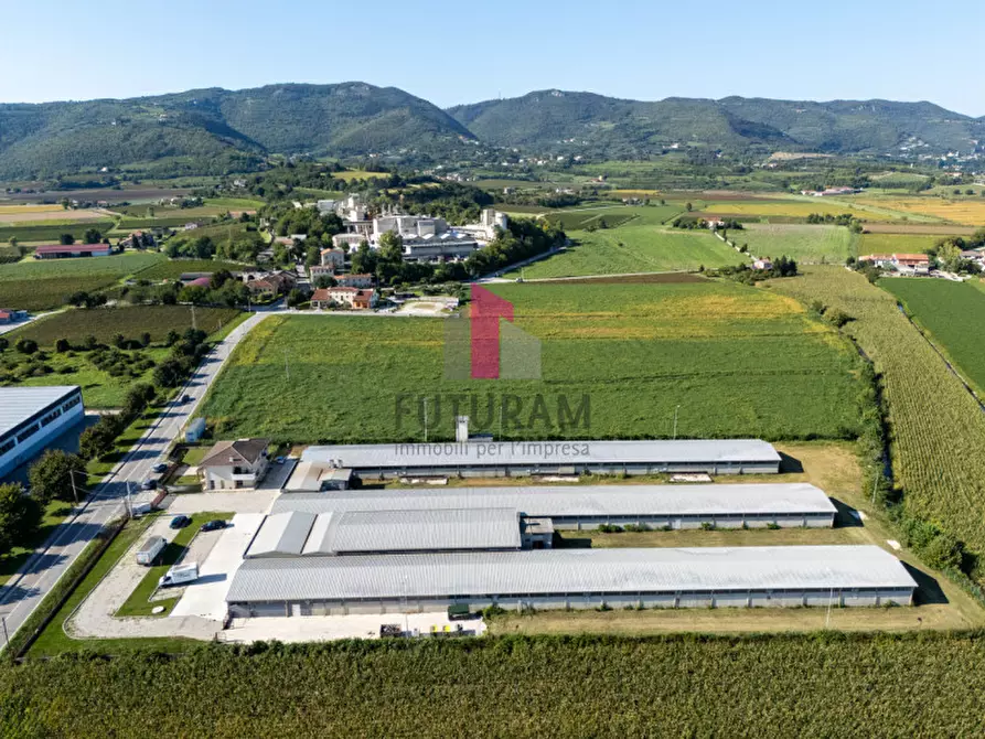 Immagine 7 di Terreno in vendita  a Villaga