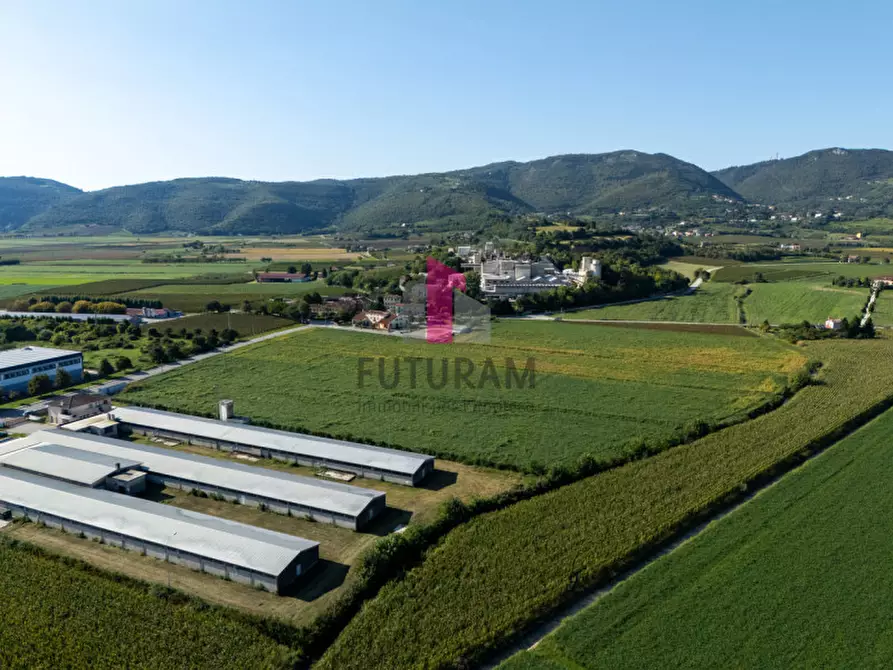 Immagine 8 di Terreno in vendita  a Villaga