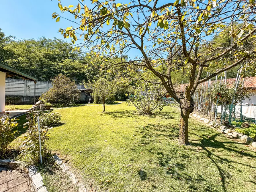 Immagine 50 di Villa in vendita  in Via Cossato, 44/a a Gattinara