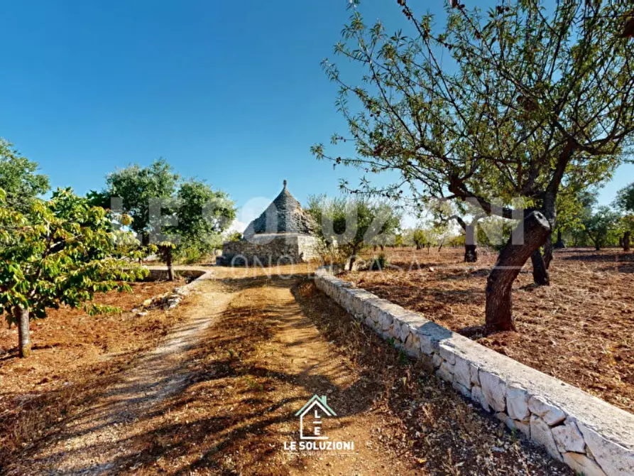 Immagine 1 di Rustico / casale in vendita  in Strada Provinciale Turi Castellana, conversano a Conversano