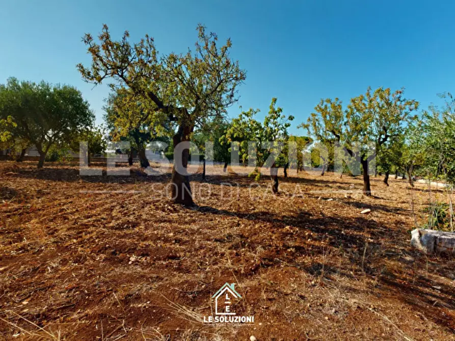 Immagine 4 di Rustico / casale in vendita  in Strada Provinciale Turi Castellana, conversano a Conversano