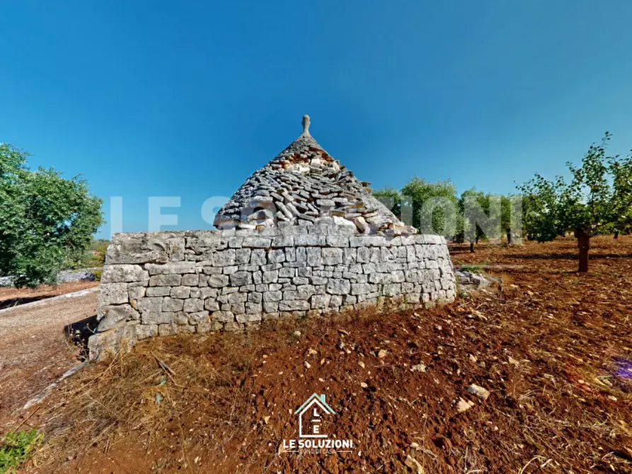 Immagine 7 di Rustico / casale in vendita  in Strada Provinciale Turi Castellana, conversano a Conversano