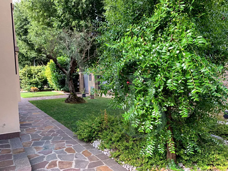 Immagine 7 di Casa indipendente in vendita  in Via Santo Stefano a Vigonza