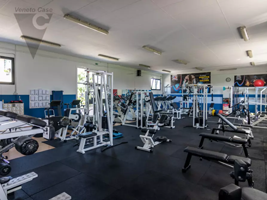 Immagine 7 di Capannone industriale in vendita  in Via F. Giacomello a Legnaro