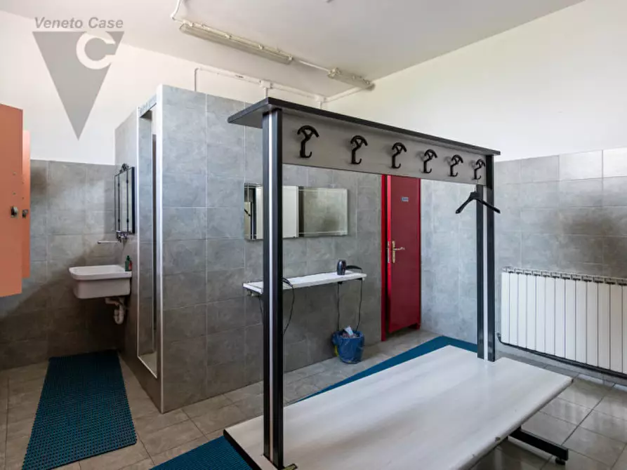 Immagine 14 di Capannone industriale in vendita  in Via F. Giacomello a Legnaro