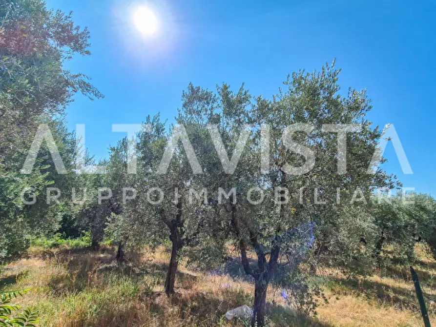 Immagine 4 di Terreno in vendita  in Via Valle a Manerba Del Garda