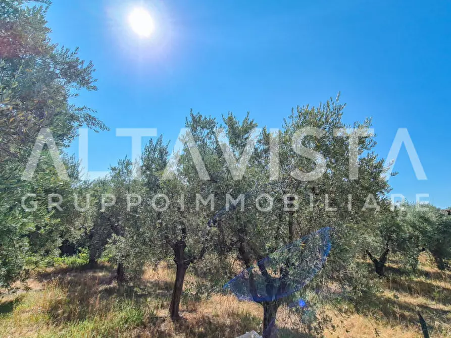 Immagine 5 di Terreno in vendita  in Via Valle a Manerba Del Garda