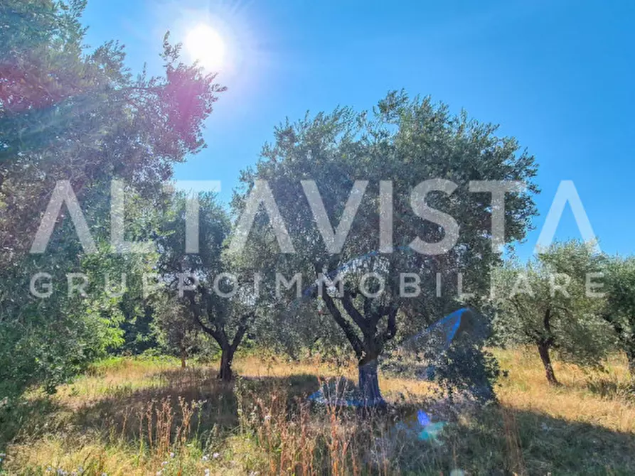 Immagine 6 di Terreno in vendita  in Via Valle a Manerba Del Garda