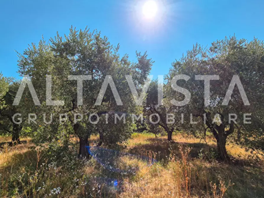 Immagine 7 di Terreno in vendita  in Via Valle a Manerba Del Garda