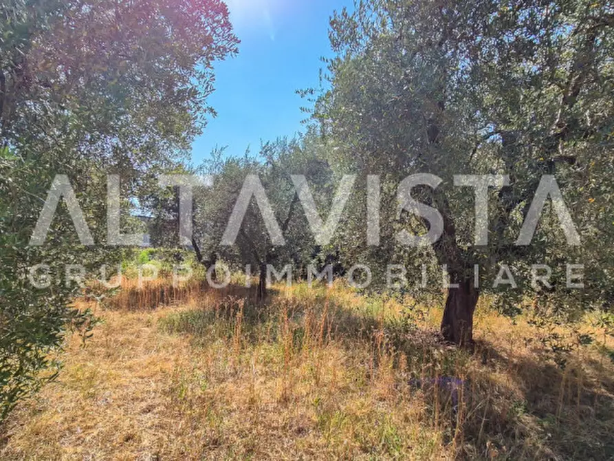 Immagine 8 di Terreno in vendita  in Via Valle a Manerba Del Garda