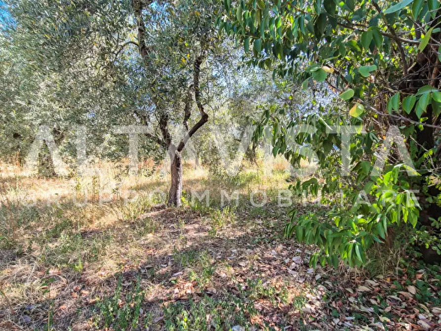 Immagine 11 di Terreno in vendita  in Via Valle a Manerba Del Garda