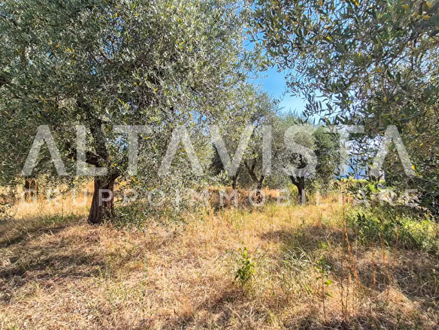 Immagine 12 di Terreno in vendita  in Via Valle a Manerba Del Garda