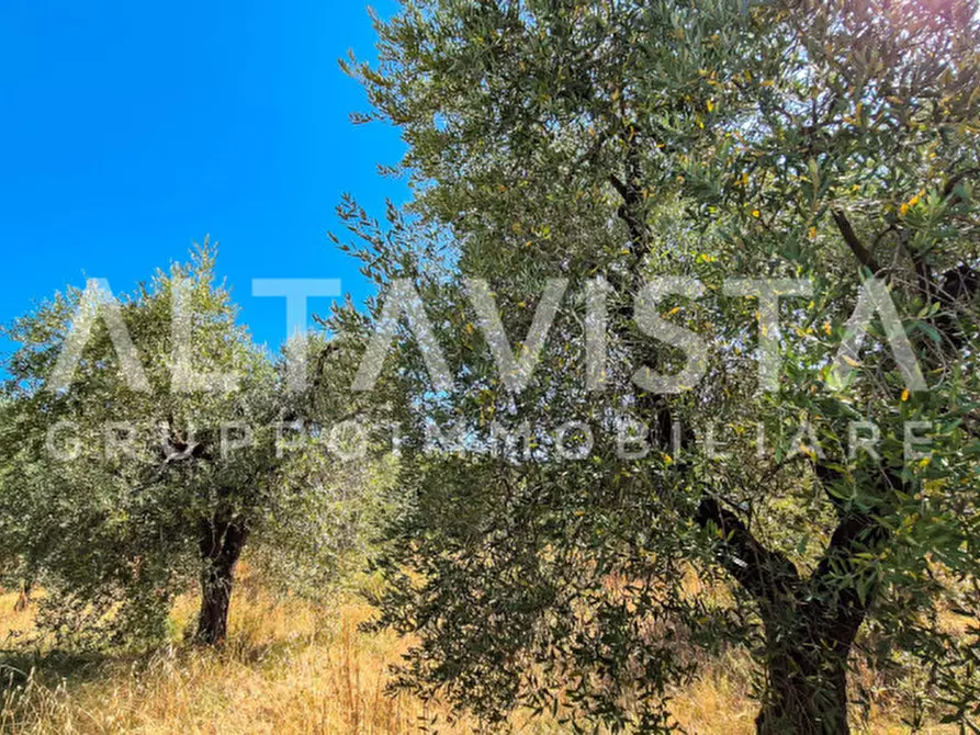 Immagine 13 di Terreno in vendita  in Via Valle a Manerba Del Garda