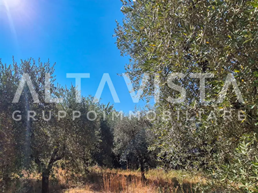 Immagine 14 di Terreno in vendita  in Via Valle a Manerba Del Garda