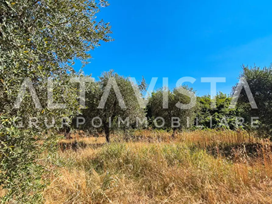 Immagine 15 di Terreno in vendita  in Via Valle a Manerba Del Garda