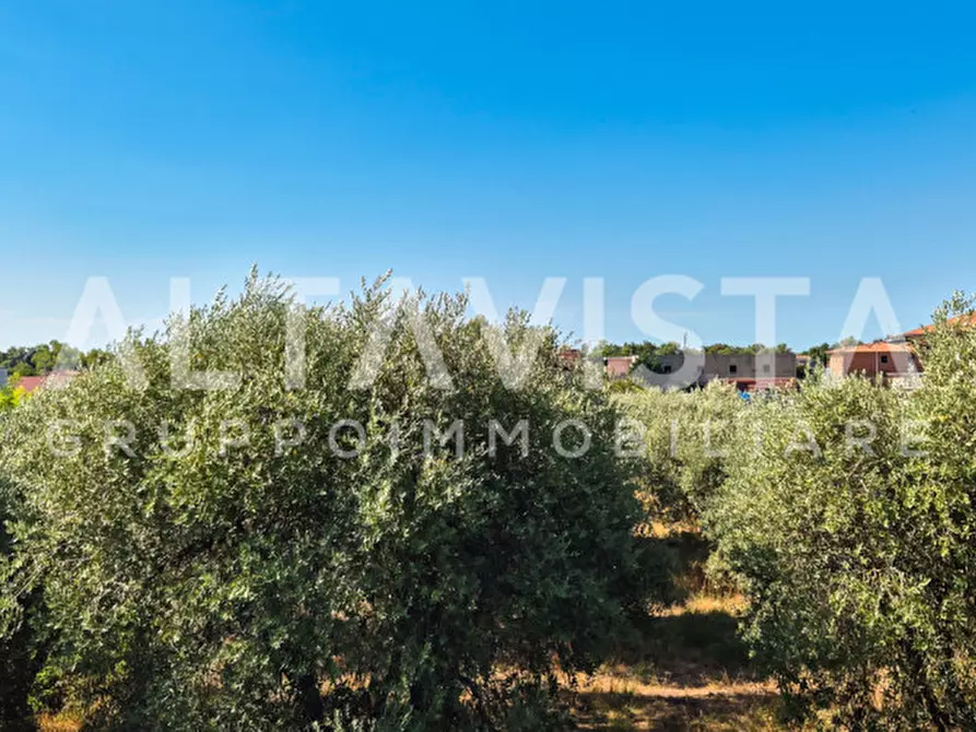 Immagine 16 di Terreno in vendita  in Via Valle a Manerba Del Garda