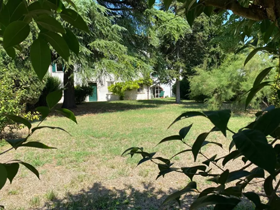 Immagine 24 di Casa indipendente in vendita  in via quattro novembre a Nogarole Rocca