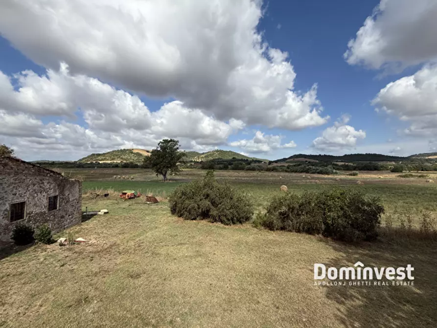 Immagine 4 di Rustico / casale in vendita  in Strada Provinciale Sgrilla a Manciano