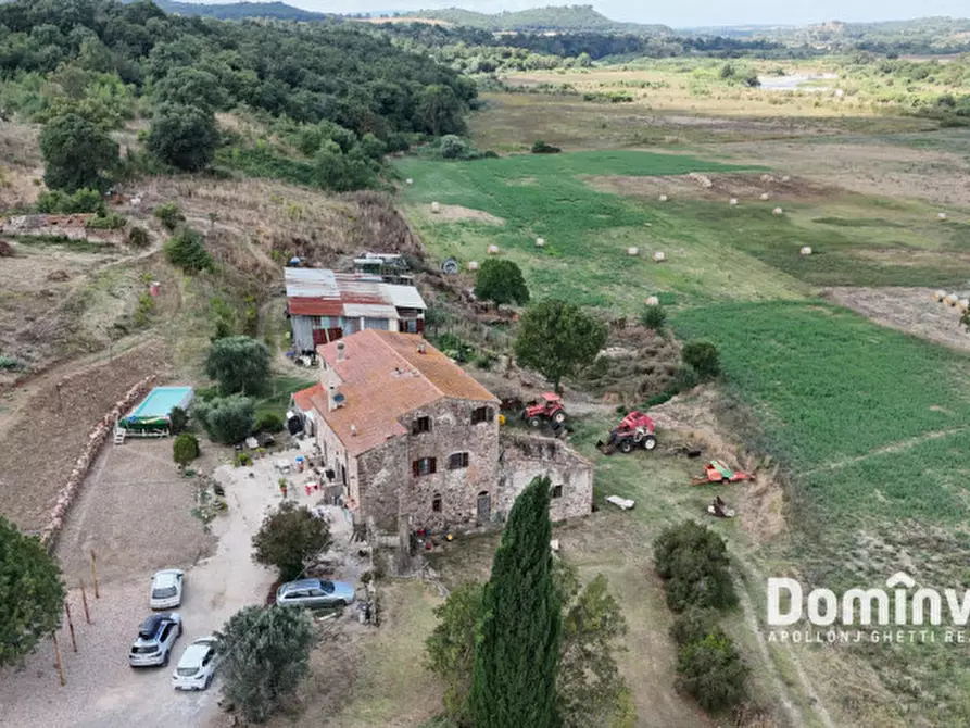 Immagine 12 di Rustico / casale in vendita  in Strada Provinciale Sgrilla a Manciano