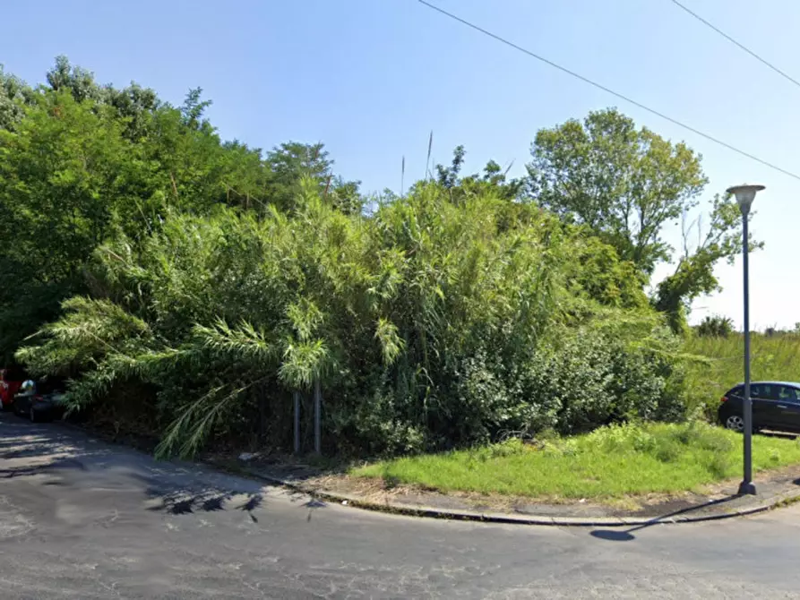 Immagine 3 di Terreno in vendita  in Via Gramadora, N. snc a Forli'