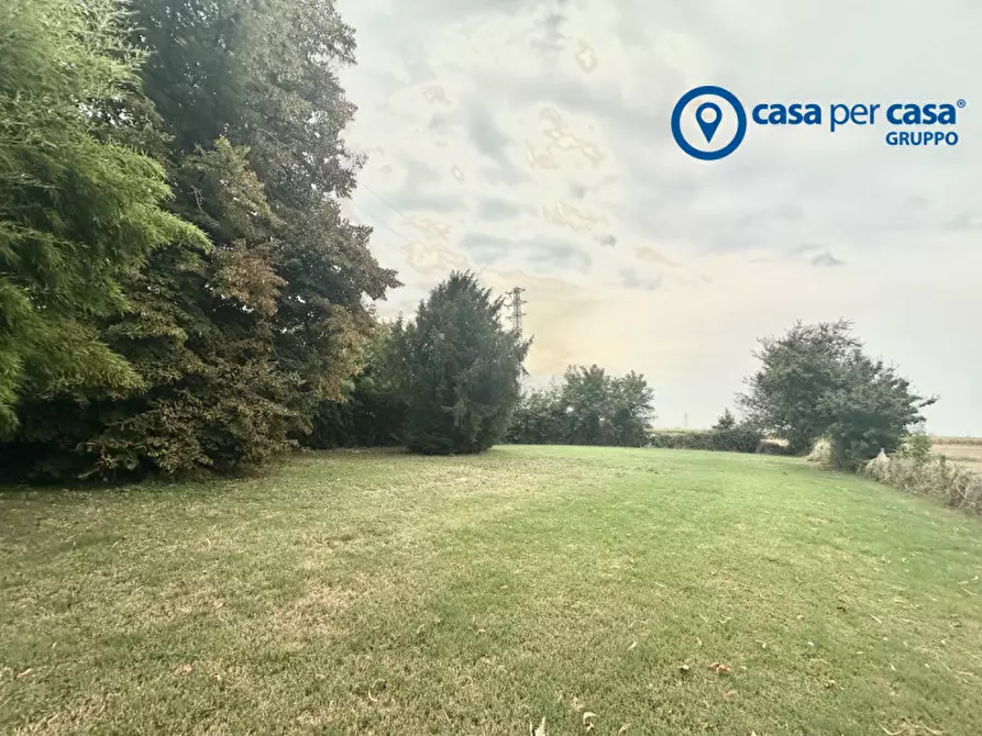 Immagine 9 di Casa indipendente in vendita  in Via Nazario Sauro 988/984 a Canaro