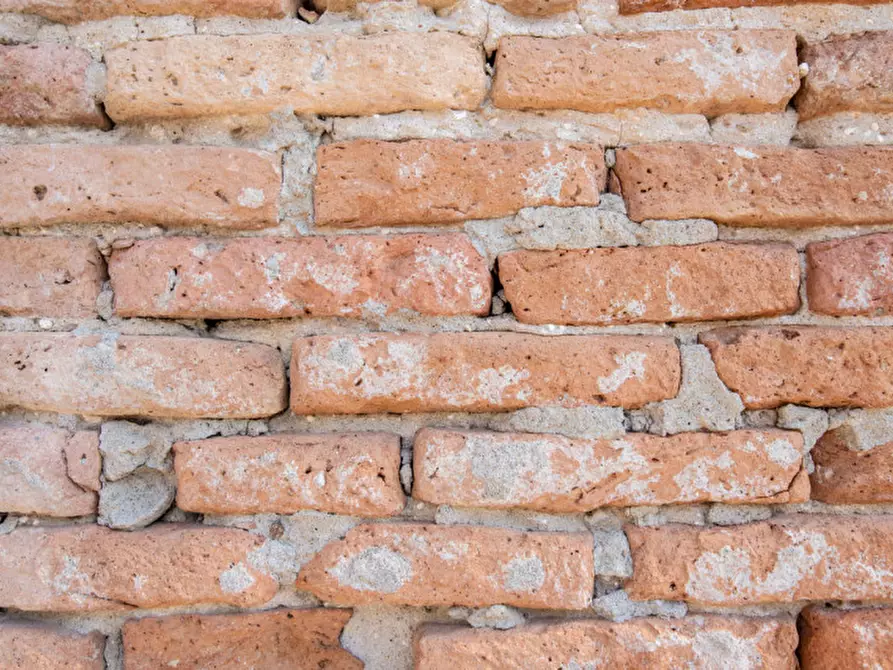 Immagine 26 di Rustico / casale in vendita  in Via Gambina a Este