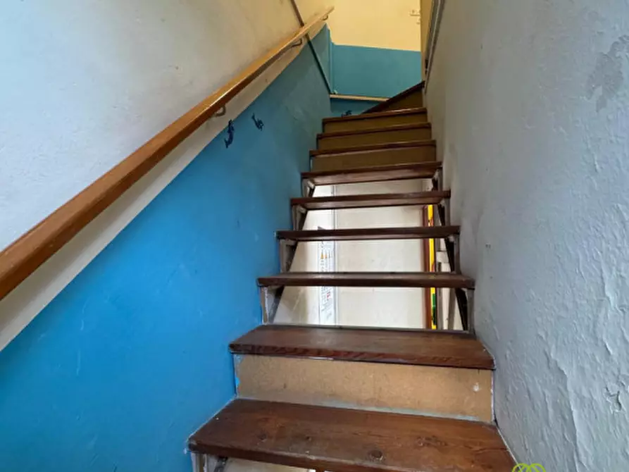 Immagine 3 di Magazzino in vendita  in Via argine sinistro a Dolo