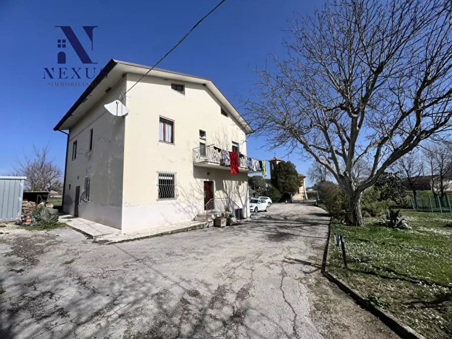 Immagine 18 di Appartamento in vendita  a Castelleone Di Suasa