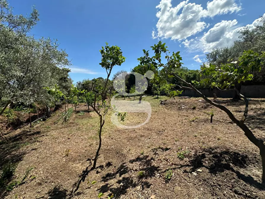 Immagine 2 di Casa indipendente in vendita  in contrada margione a San Filippo Del Mela