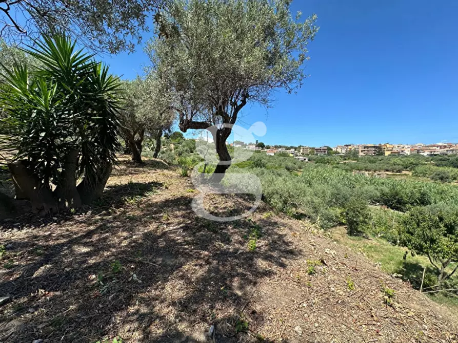 Immagine 3 di Casa indipendente in vendita  in contrada margione a San Filippo Del Mela