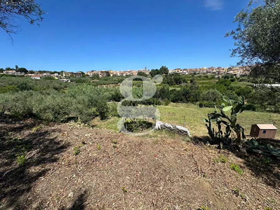 Immagine 4 di Casa indipendente in vendita  in contrada margione a San Filippo Del Mela