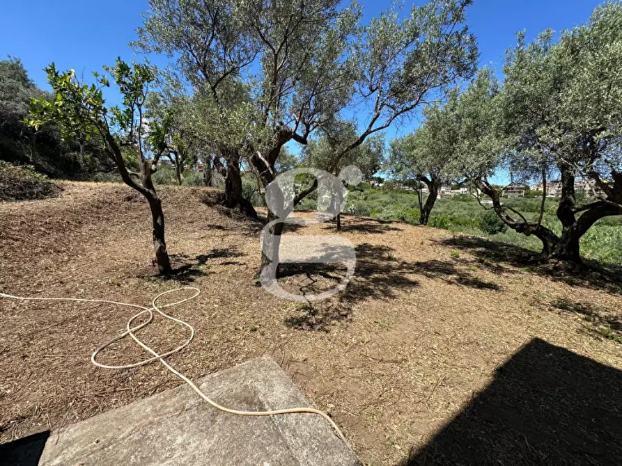 Immagine 7 di Casa indipendente in vendita  in contrada margione a San Filippo Del Mela