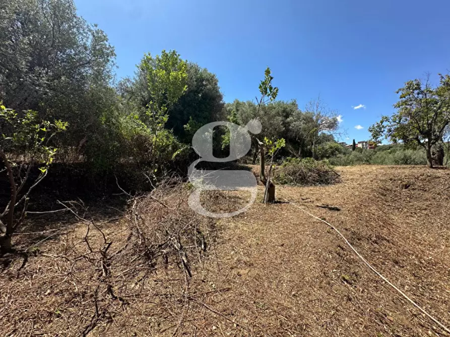 Immagine 9 di Casa indipendente in vendita  in contrada margione a San Filippo Del Mela