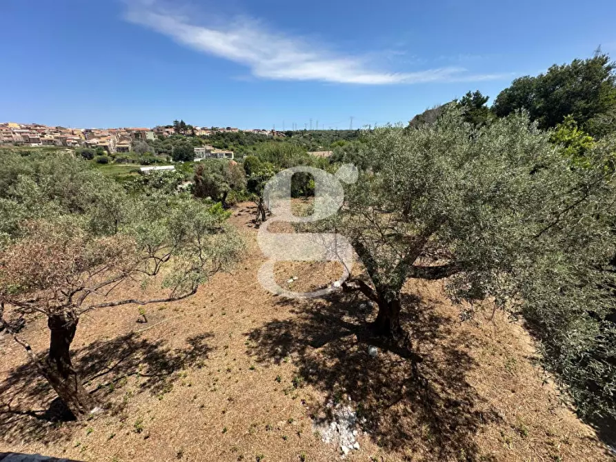 Immagine 11 di Casa indipendente in vendita  in contrada margione a San Filippo Del Mela