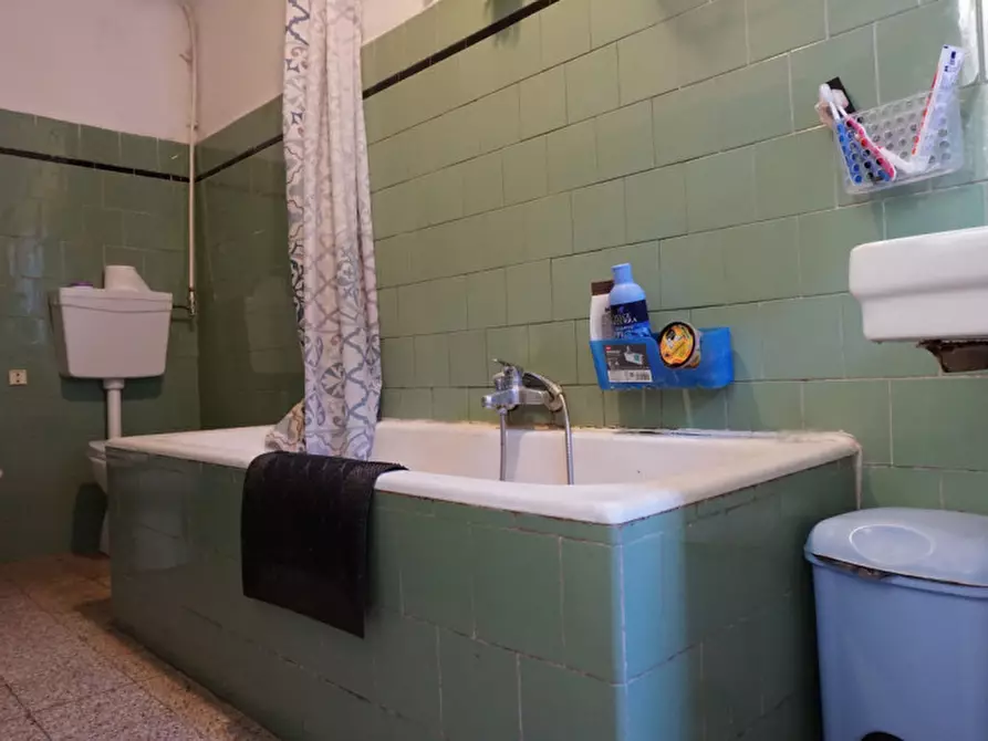 Immagine 18 di Appartamento in vendita  in Via T. Riboli,7 a Colorno