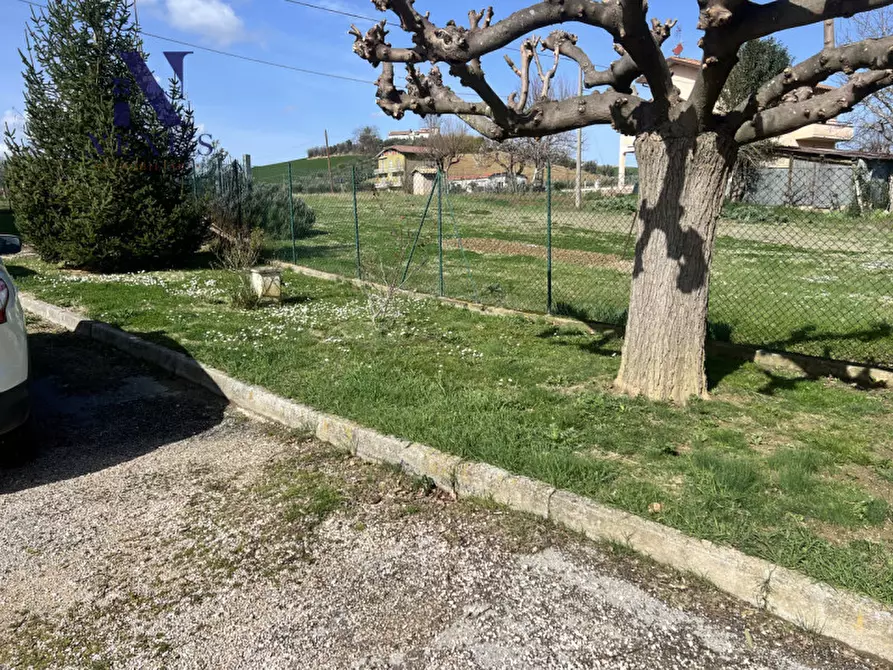 Immagine 17 di Appartamento in vendita  a Castelleone Di Suasa