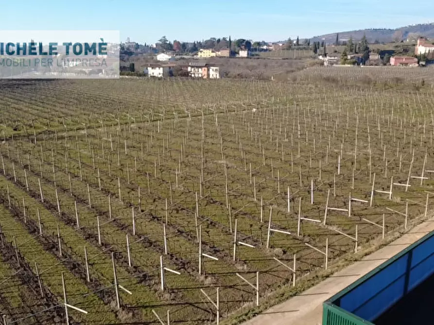 Immagine 4 di Capannone industriale in affitto  in Via Don Cesare Biasi a San Pietro In Cariano