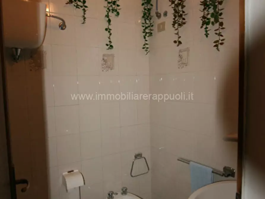 Immagine 17 di Appartamento in vendita  a Sinalunga