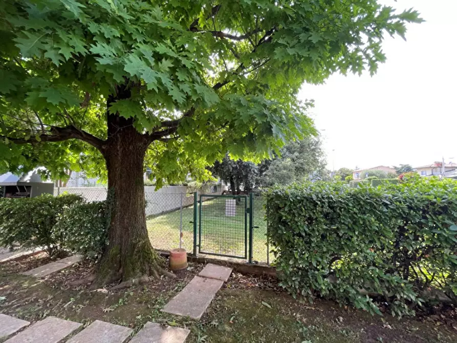 Immagine 8 di Casa bifamiliare in vendita  a Montebelluna