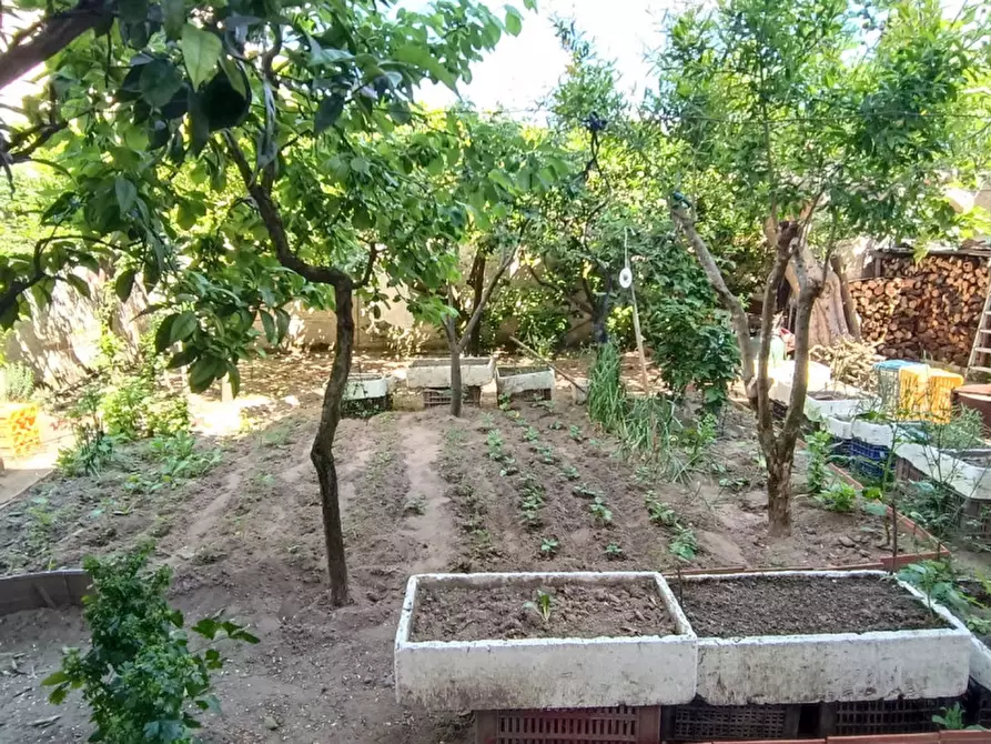 Immagine 2 di Casa bifamiliare in vendita  in VIA CANOSA, 369 a Andria