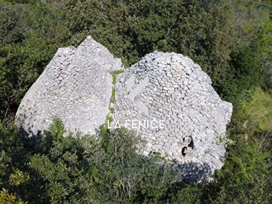 Immagine 3 di Rustico / casale in vendita  in Contrada Gravinella a Fasano