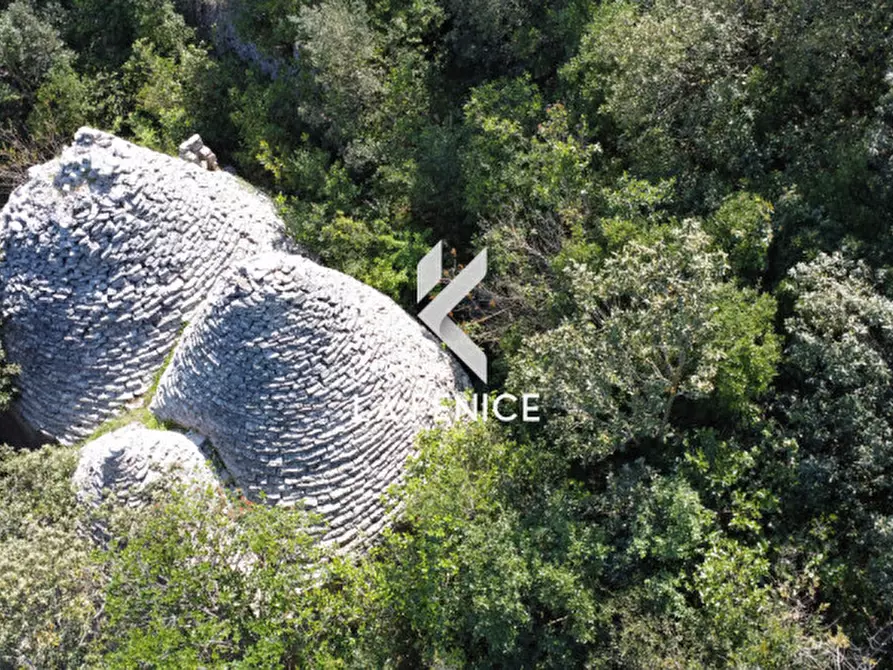 Immagine 4 di Rustico / casale in vendita  in Contrada Gravinella a Fasano