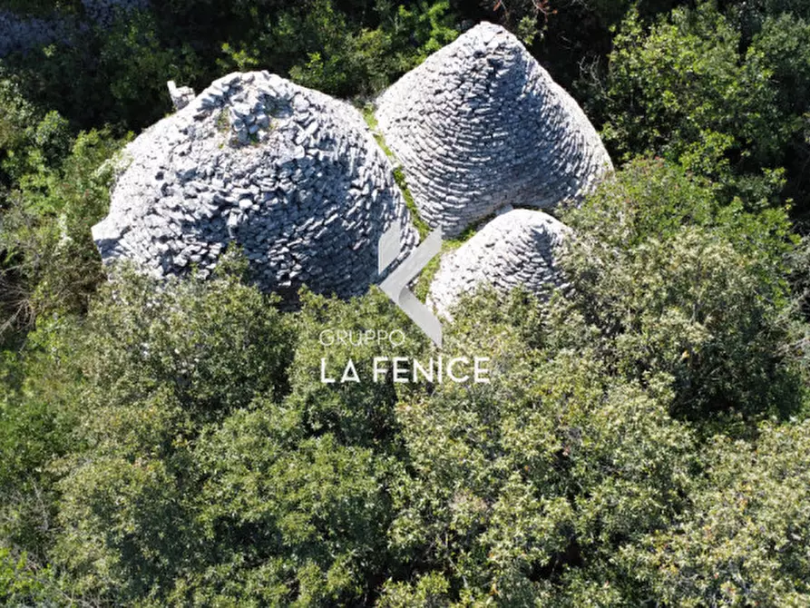 Immagine 5 di Rustico / casale in vendita  in Contrada Gravinella a Fasano