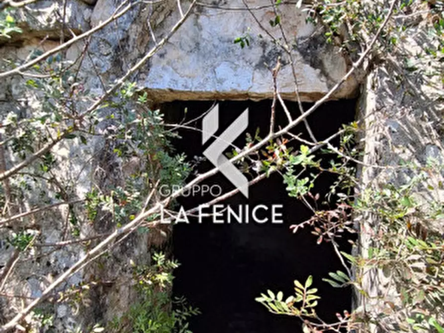 Immagine 8 di Rustico / casale in vendita  in Contrada Gravinella a Fasano