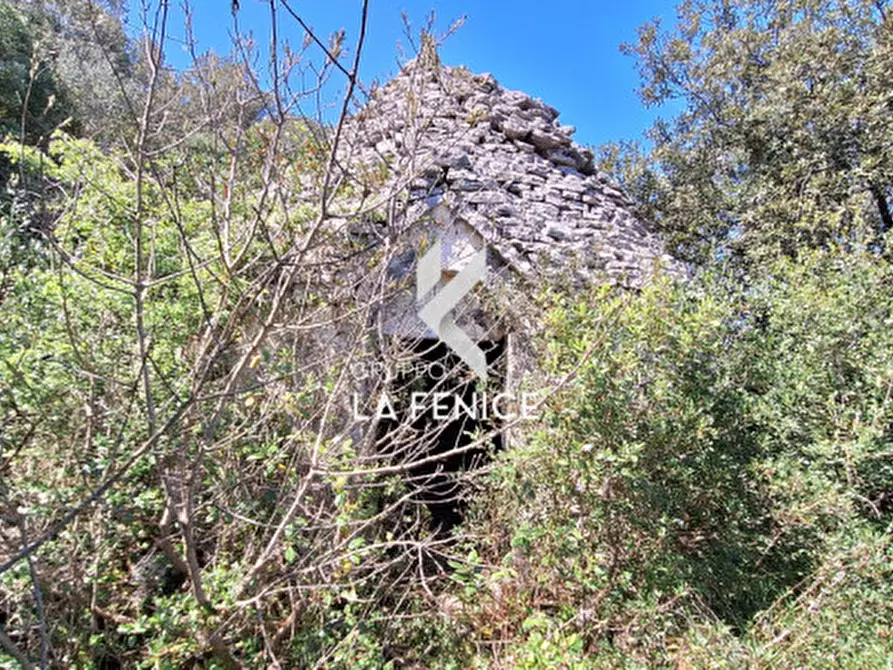 Immagine 11 di Rustico / casale in vendita  in Contrada Gravinella a Fasano