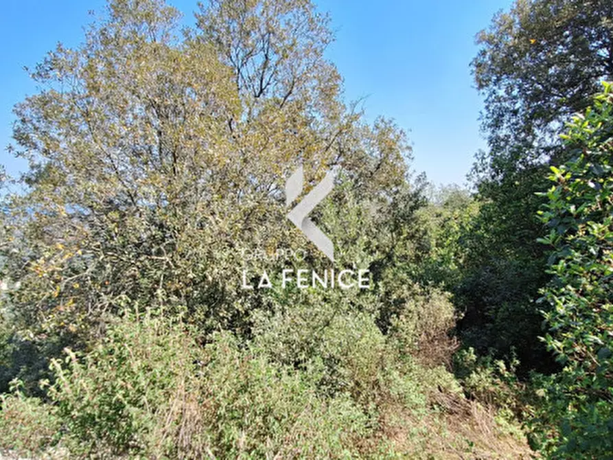 Immagine 12 di Rustico / casale in vendita  in Contrada Gravinella a Fasano